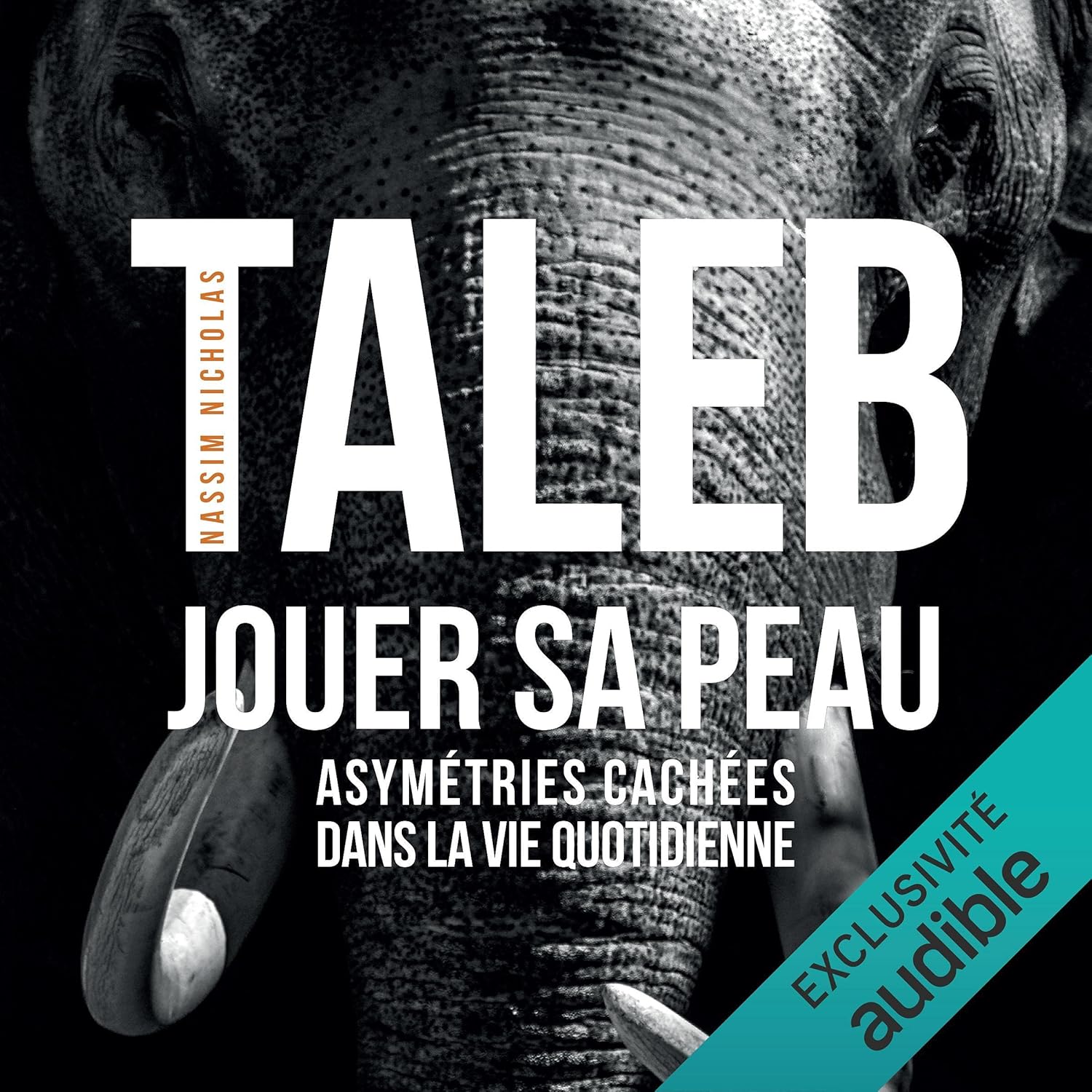 couverture du livre audio jouer sa peau de Nassim Taleb